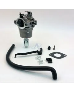 Vergaser für BRIGGS & STRATTON Motoren [#791858, #792358, #793224]