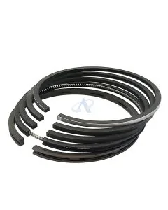 Kolbenringsatz für SAME DA952V, DA954V, Atlanta, Centauro, Italia, Sametto (95.5mm)